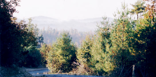 SOLD – For Sale:  3.78 Acres – Chestnut Falls