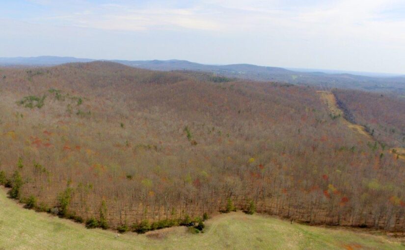SOLD – For Sale: Hunting and Recreational Paradise – 477.68± Acres Franklin/Henry Counties