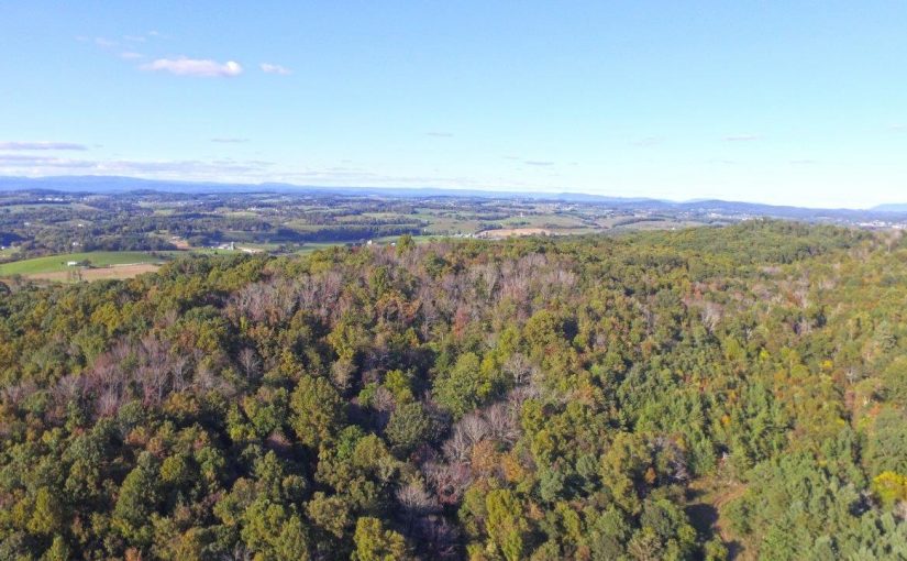 SOLD – For Sale: 452 Acre Recreational Paradise – 2nd Highest Elevation in Montgomery Co. – Long Range Views – Multiple Trails – Abundant Wildlife