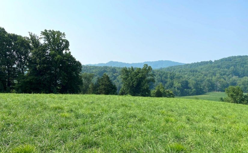 For Sale: 95 Acres – 6 Lots (Ranging from 6 Acres to 30 Acres)