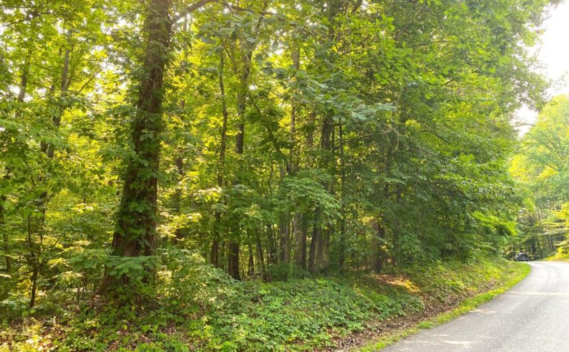 For Sale: 6 Acres on Boones Mill Road