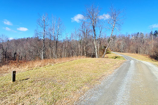 For Sale: 27.53± Undeveloped Acres
