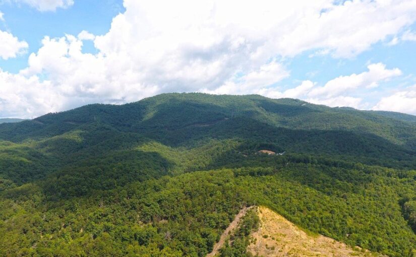 Online Auction: 163.2± Acres – 8 Tracts