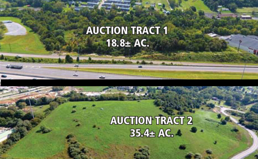Online Auction: 2 Prime Development Properties