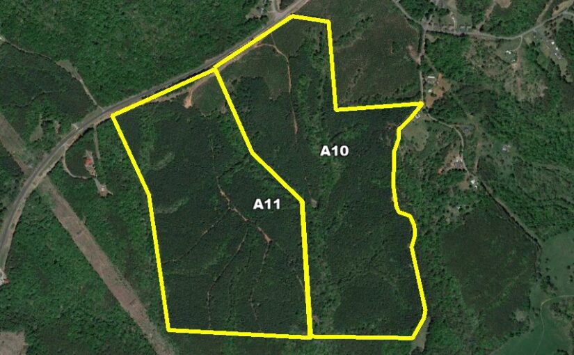 AM Auction Tract 11: Chatham Road, 108± Acre Timber Tract