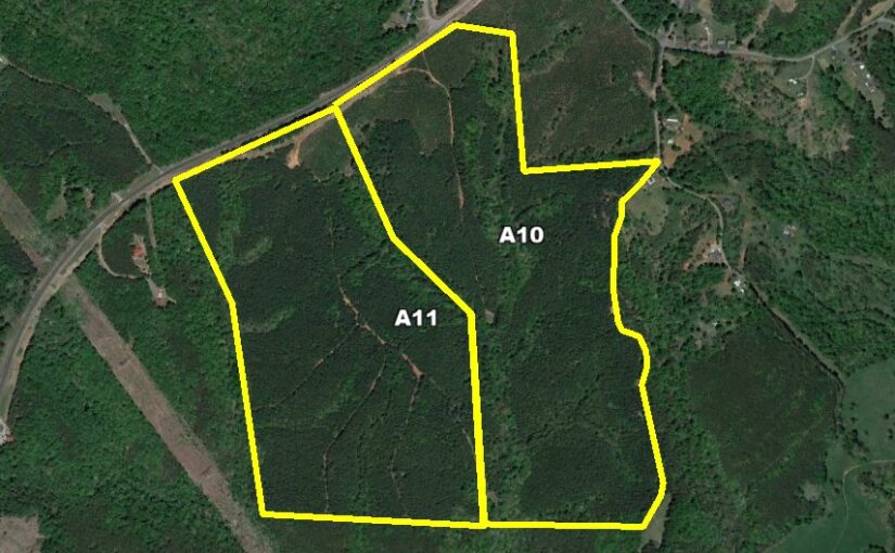 AM Auction Tract 10: Chatham Road, 115± Acre Timber Land Tract