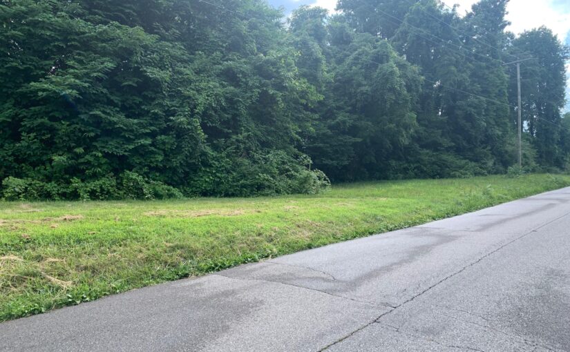 For Sale: 2 Level Wooded Lots