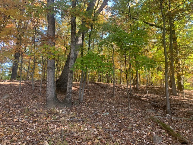 SOLD – For Sale: 1.32± Ac. – Nice Wooded Lot
