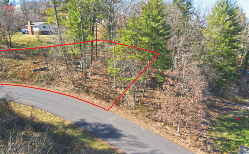 For Sale: 0.31 Acre Wooded Lot in SWCO