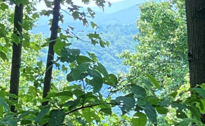 For Sale: 32± Acre Mountain Property