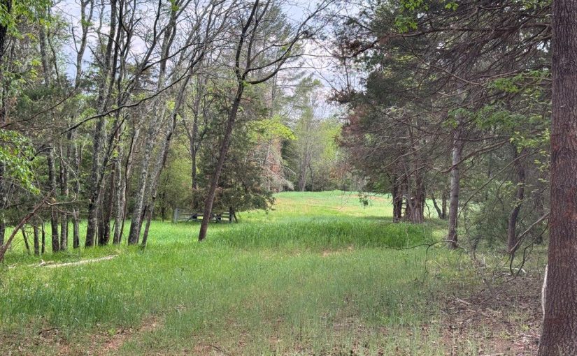 For Sale: Top of the Mountain Retreat – 410± Acres