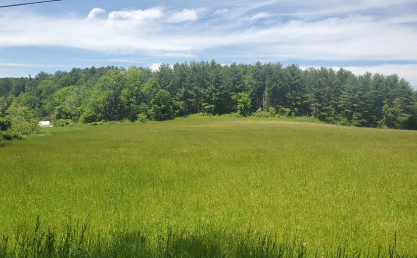 For Sale: Secluded 16.49-acre tract nestled in the heart of Bent Mountain, Virginia