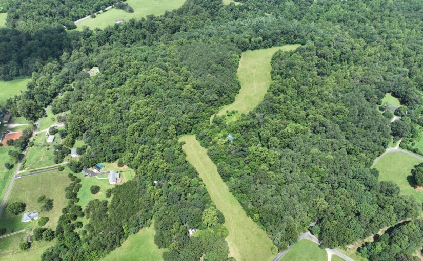 Absolute Auction: 58.36± Acres Acres Offered in Tracts