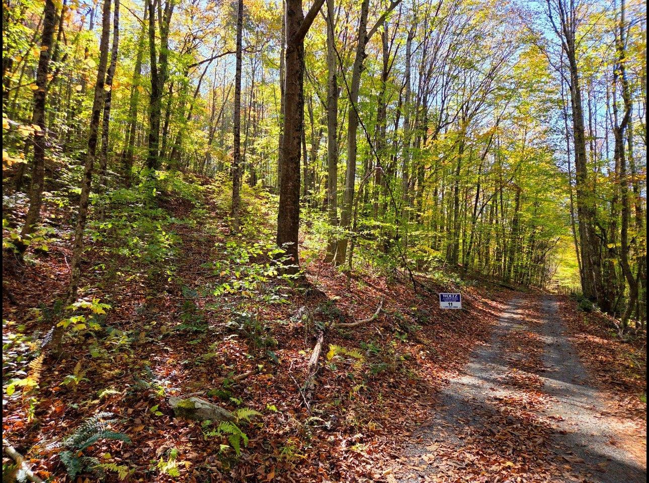 Tract 11 --20251015_145715