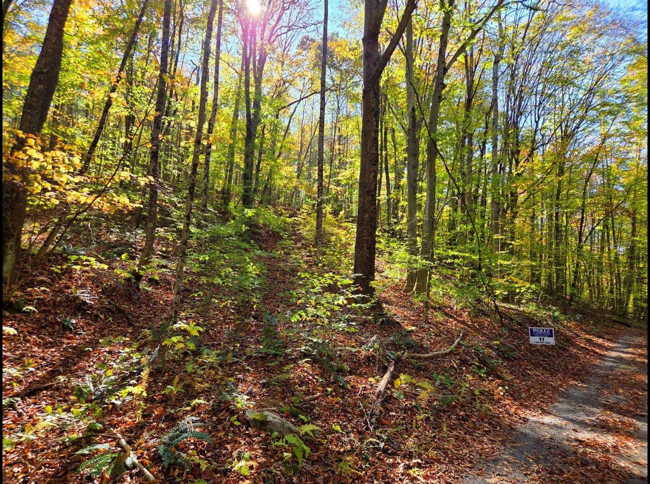 Tract 11 --20251015_145718