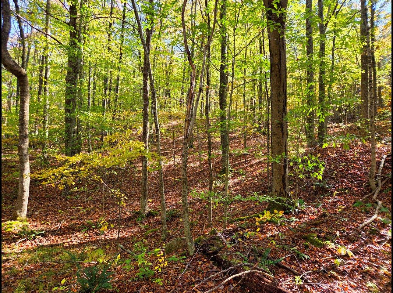 Tract 11 --20251015_145720