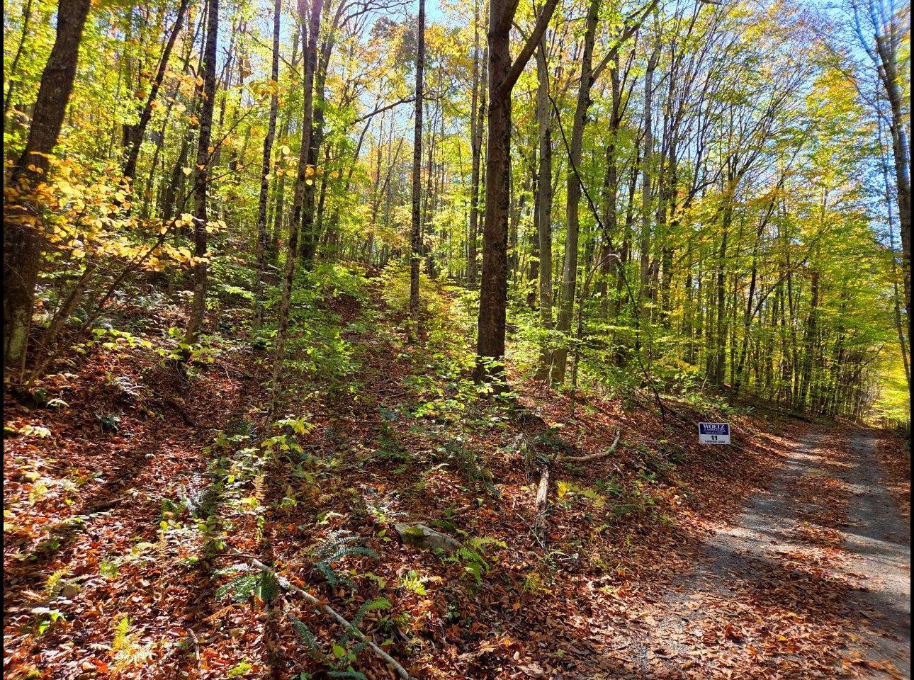 Tract 11 --20251015_145726