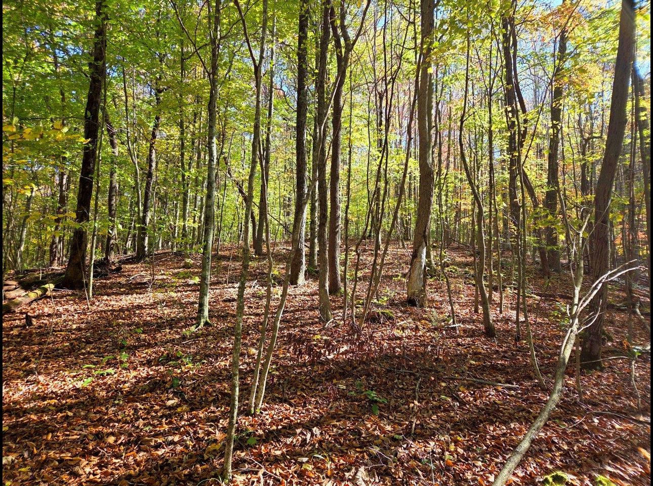 Tract 11 --20251015_145848