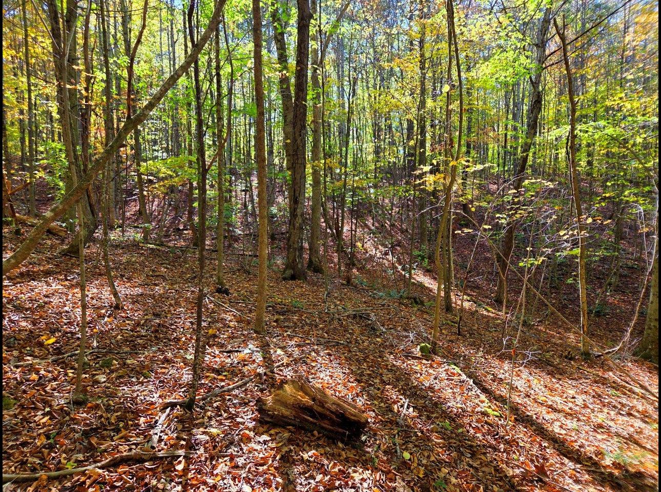 Tract 11 --20251015_145850