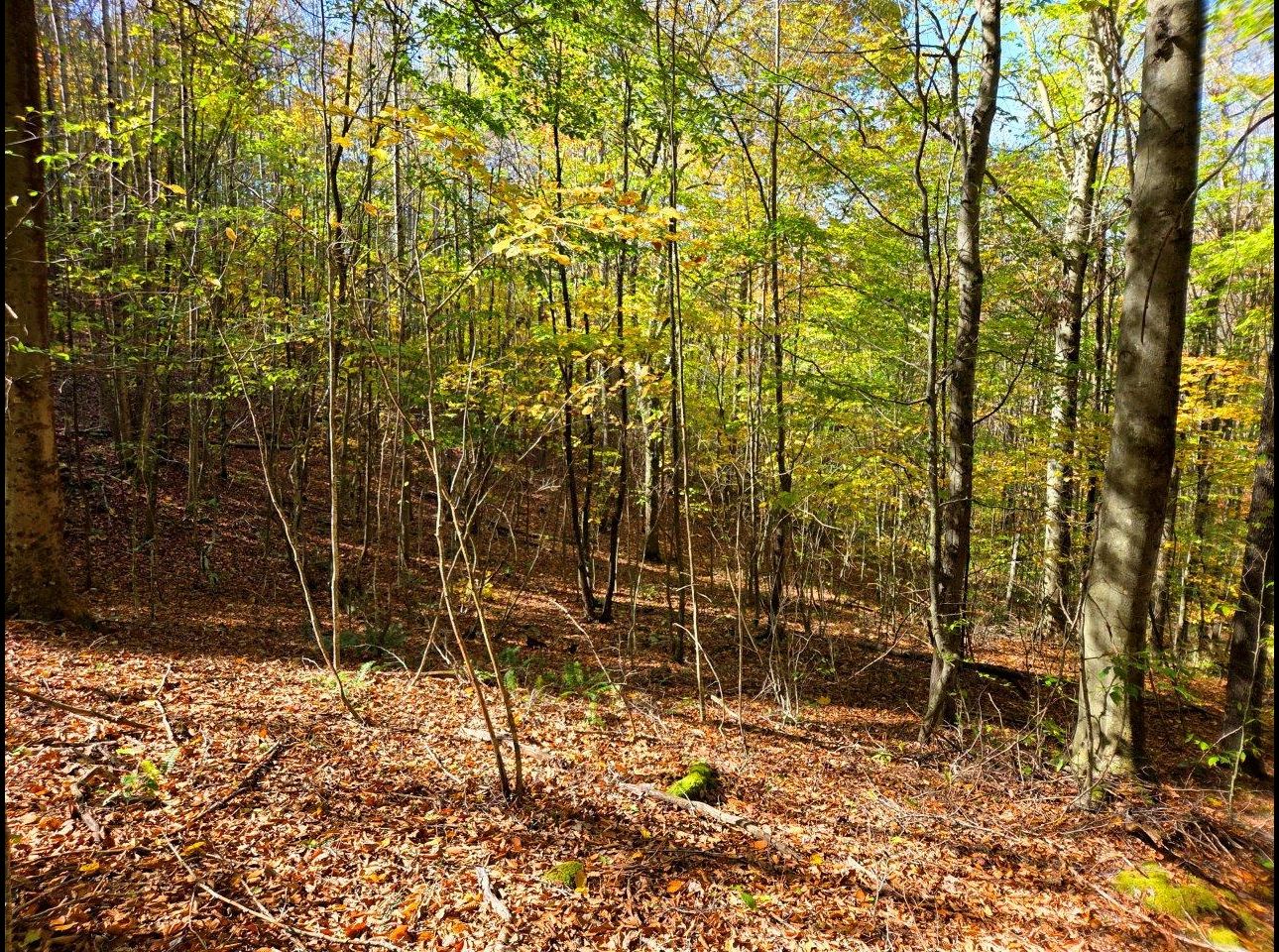 Tract 11 --20251015_145853