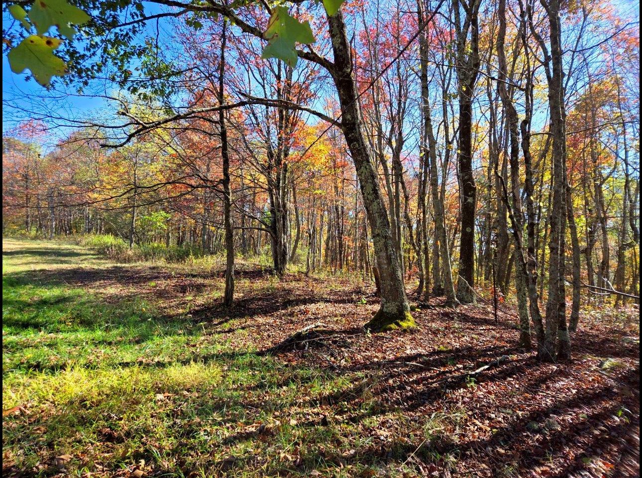 Tract 2 --20251016_121027