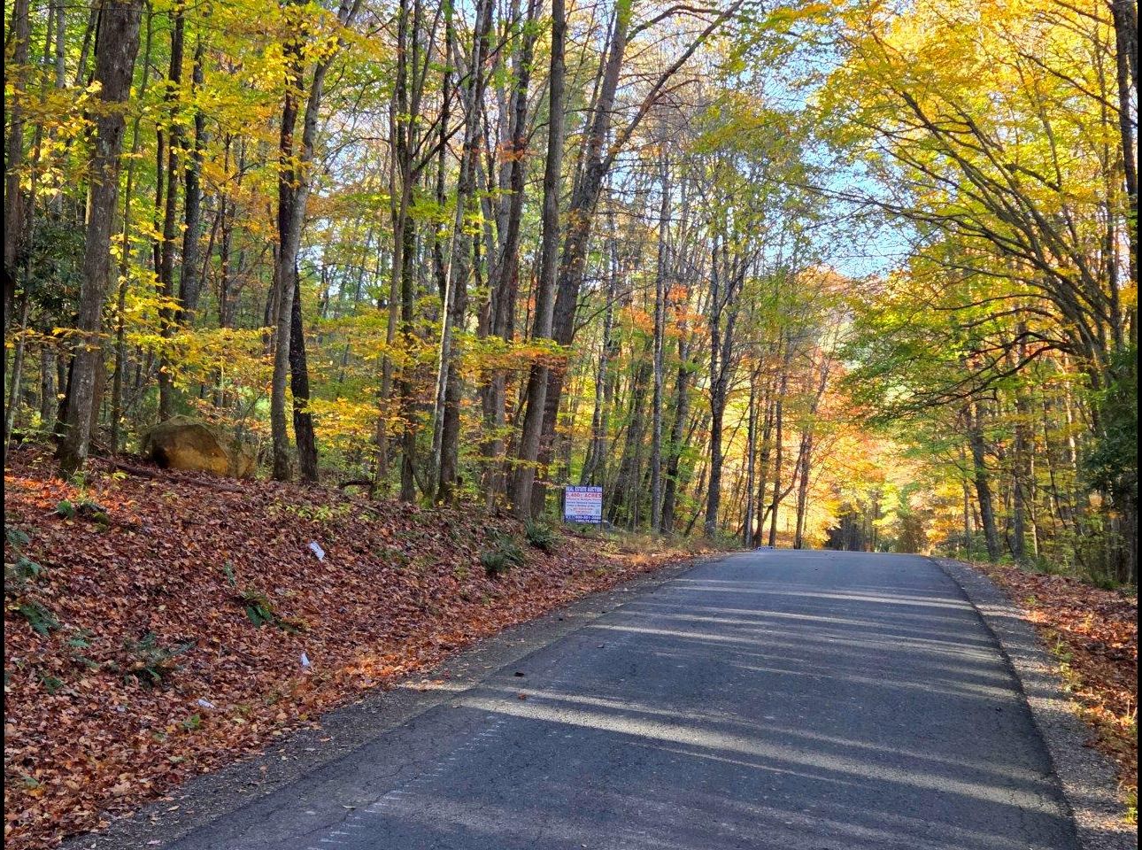 Tract 4 --20251016_094322