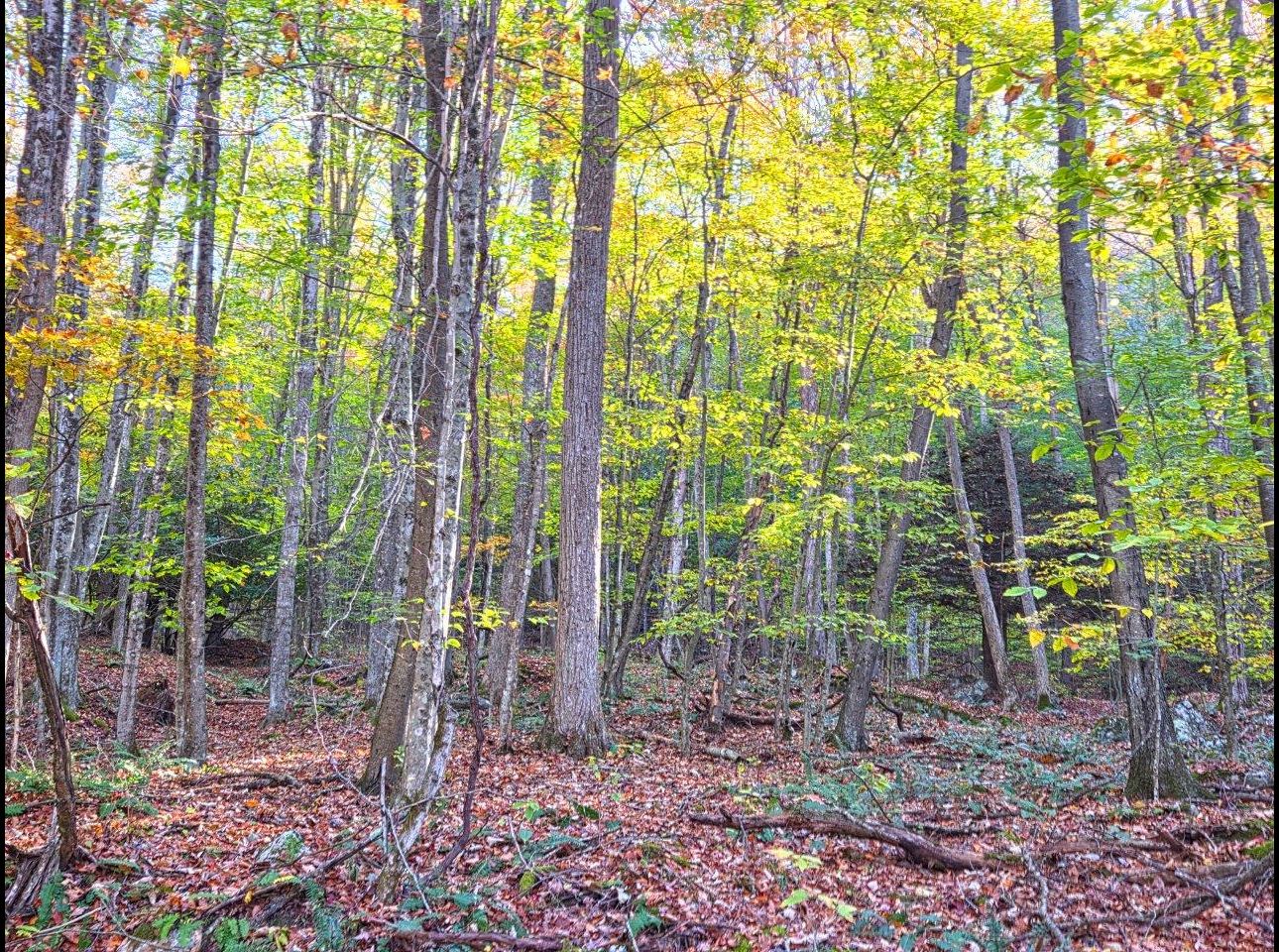 Tract 4 --20251016_095018