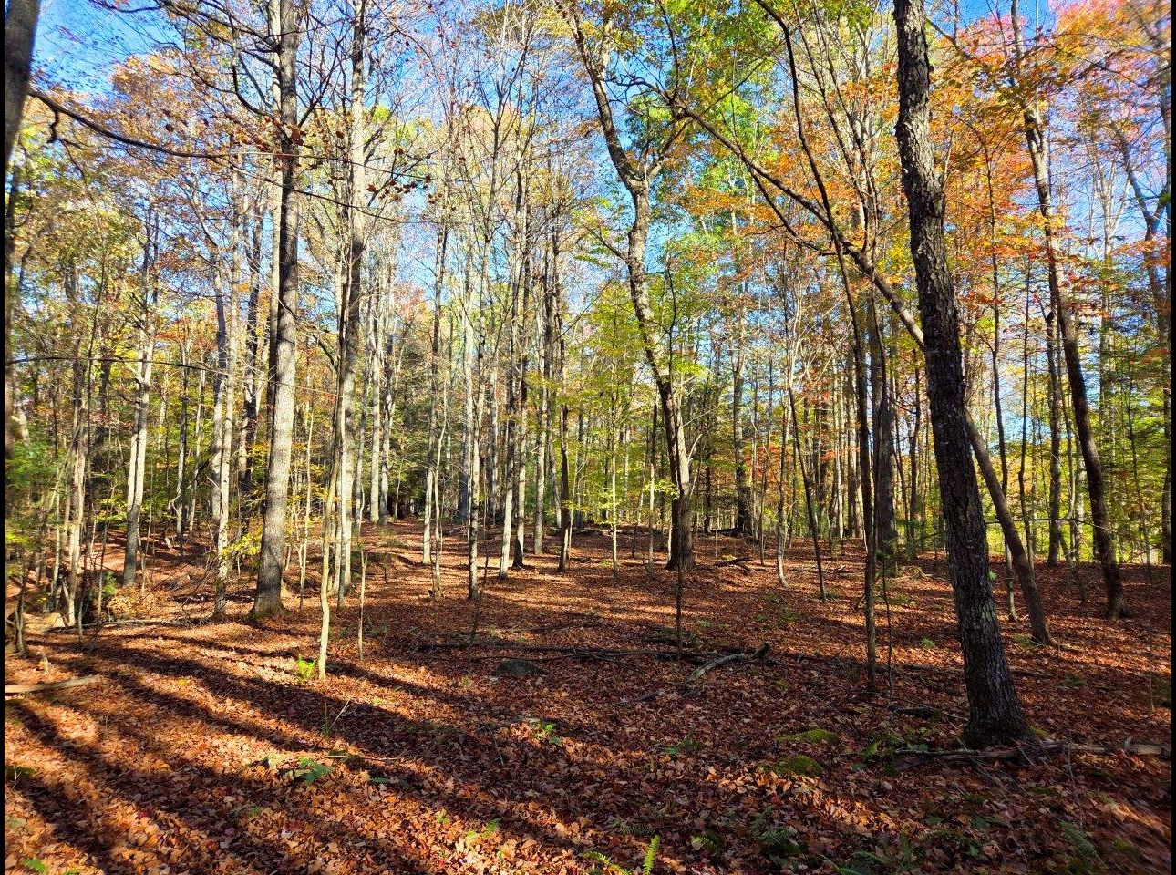 Tract 4 --20251016_100117