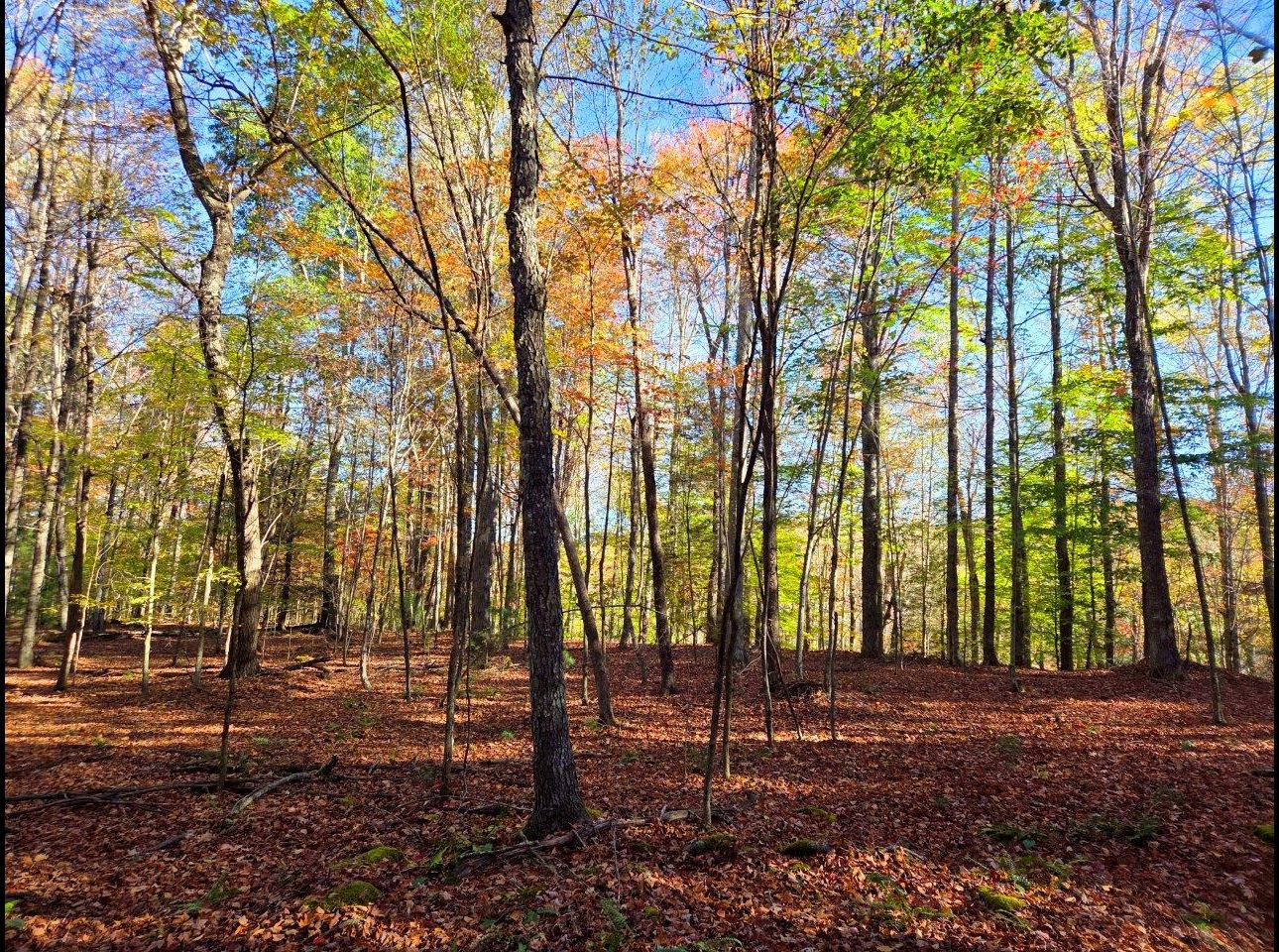 Tract 4 --20251016_100119