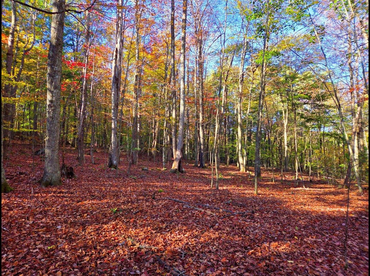 Tract 4 --20251016_100156