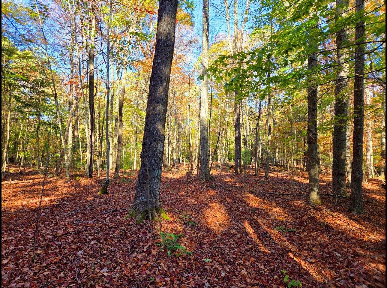 Tract 4 --20251016_100159