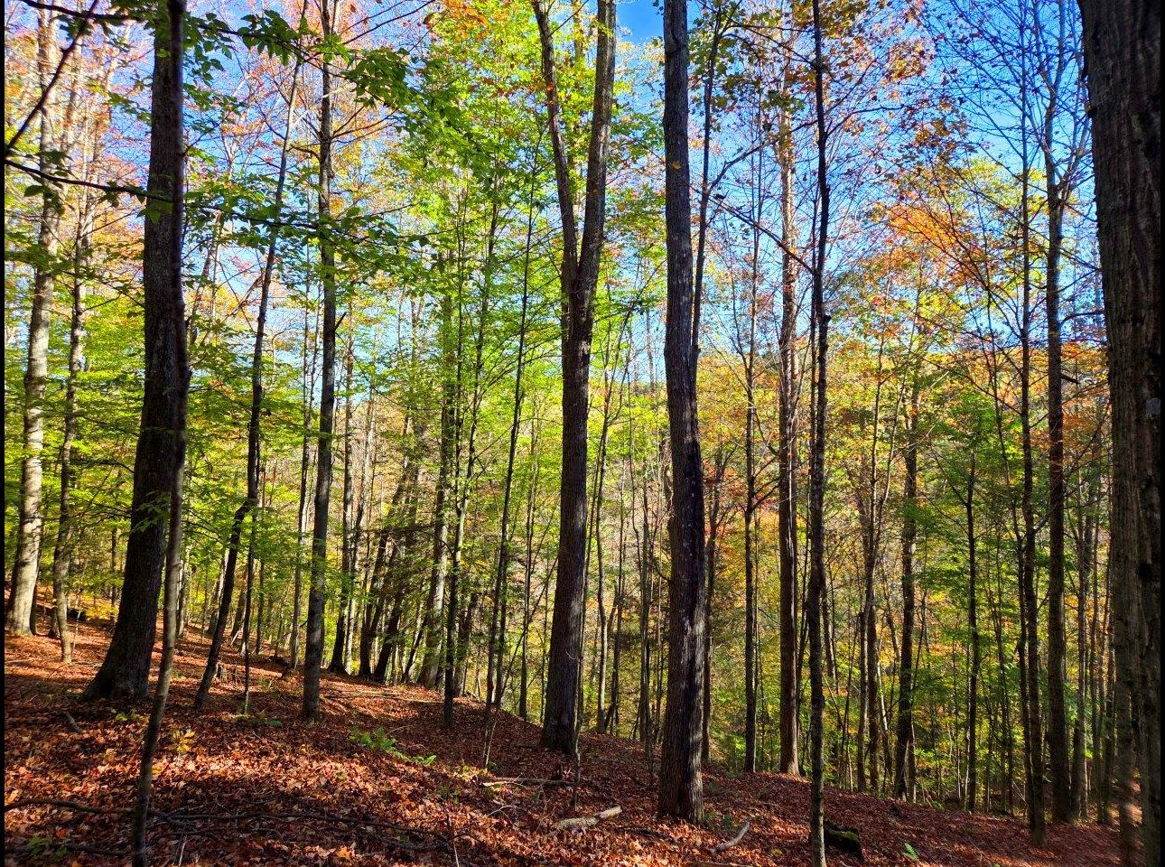 Tract 4 --20251016_100204