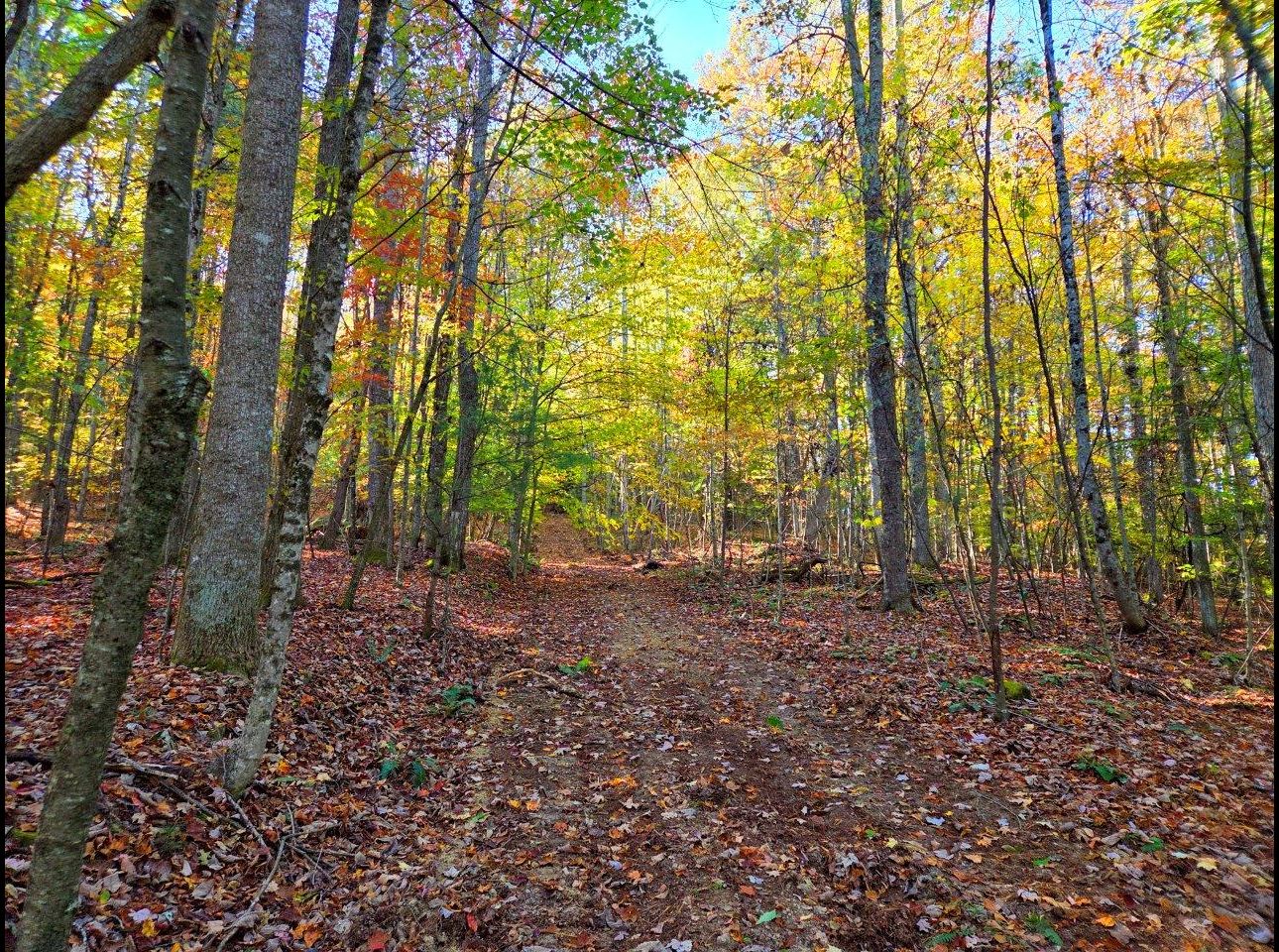 Tract 4 --20251016_100336