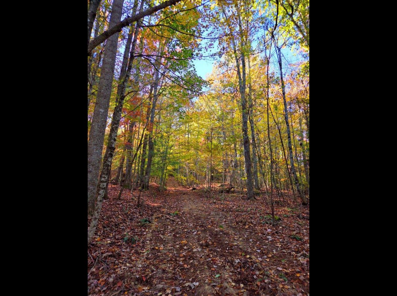 Tract 4 --20251016_100340