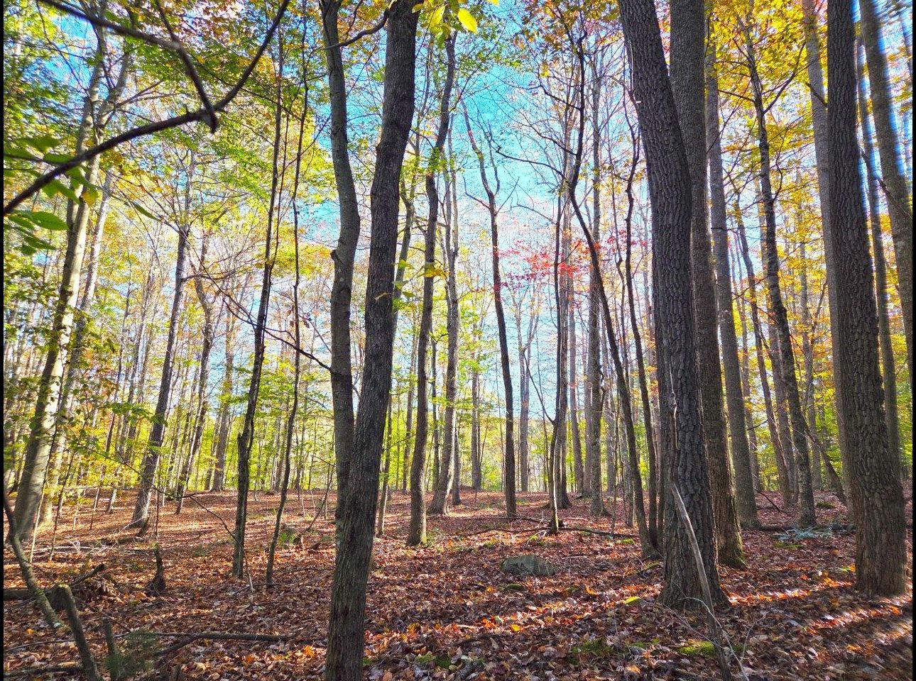 Tract 4 --20251016_100446