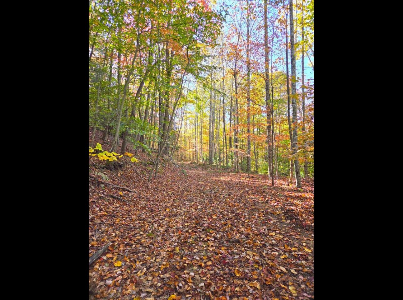 Tract 4 --20251016_101402