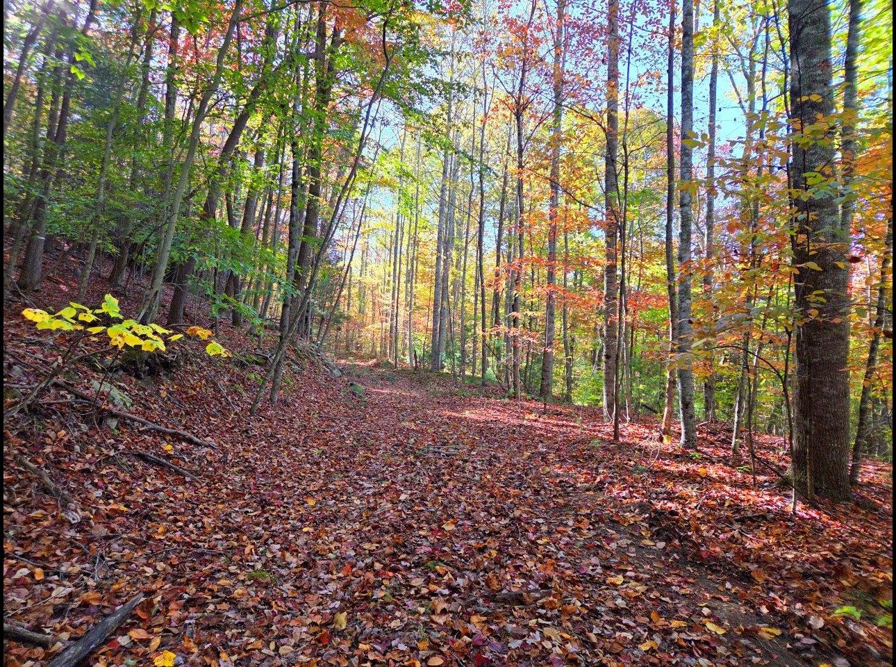 Tract 4 --20251016_101406