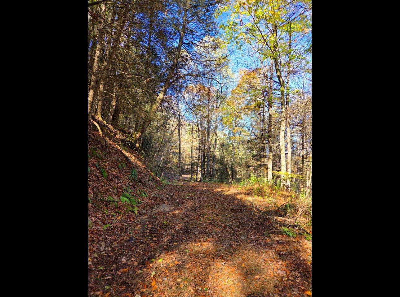 Tract 4 --20251016_103841