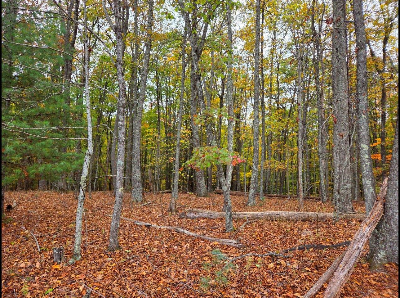 Tract 6 --20251015_162257