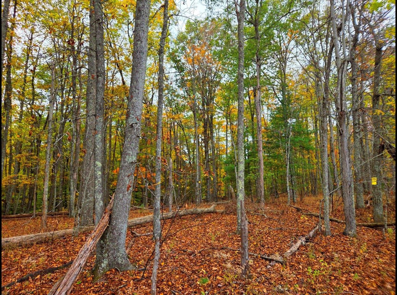 Tract 6 --20251015_162300