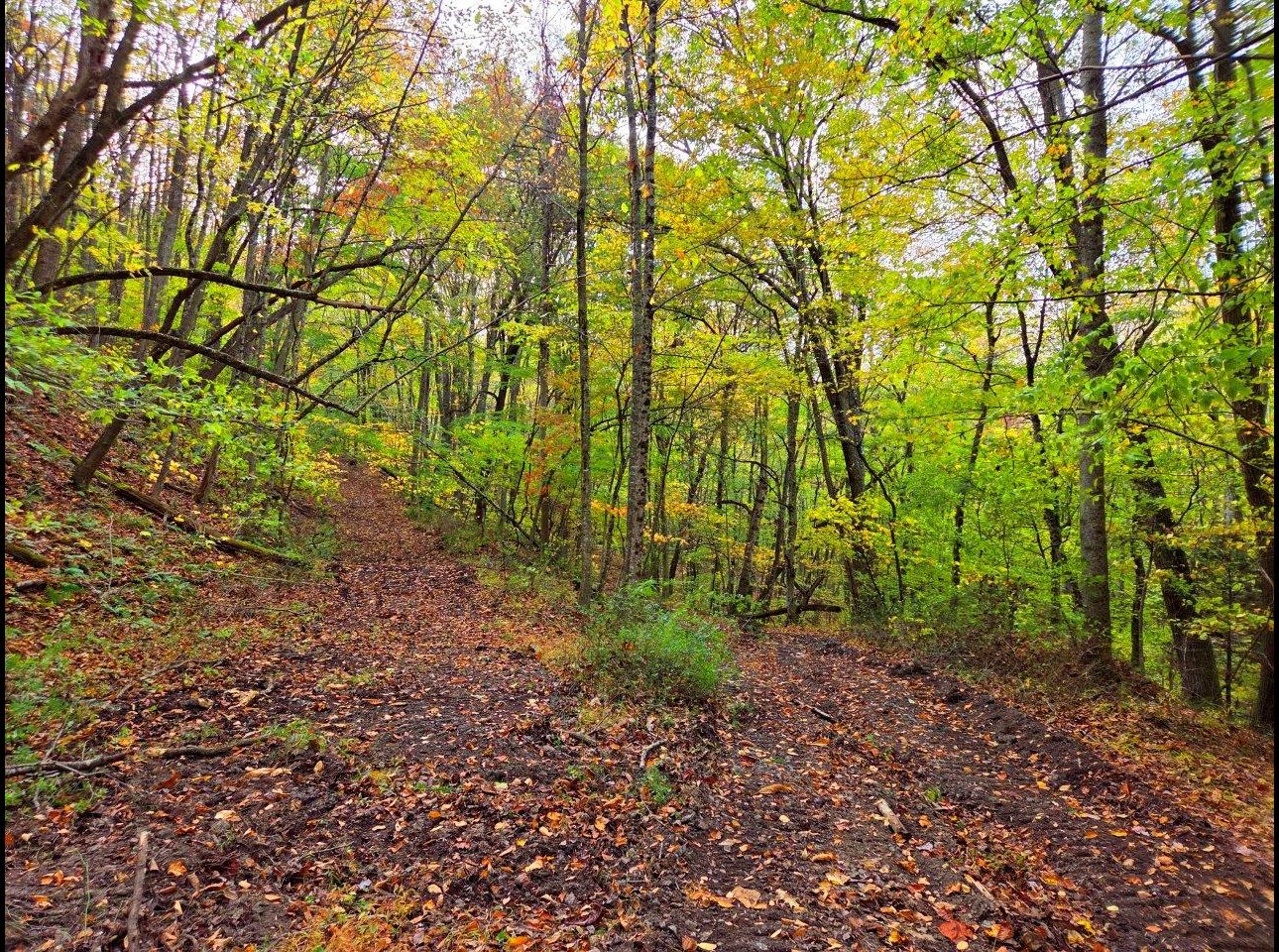 Tract 6 --20251015_164445