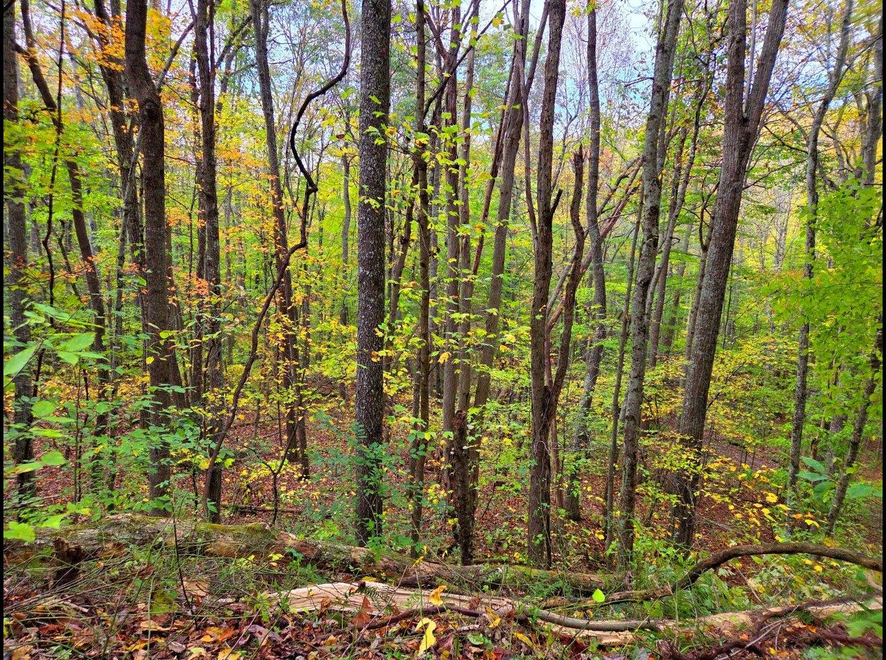 Tract 6 --20251015_164758