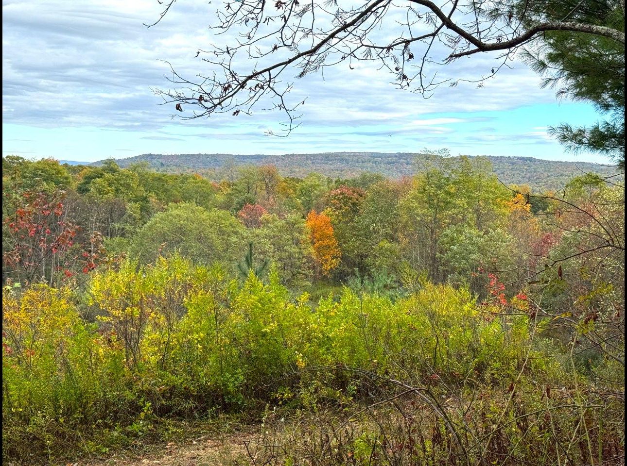 Tract 6 (View From) --IMG_8528