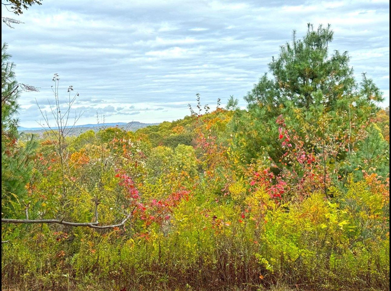 Tract 6 (View From) --IMG_8530