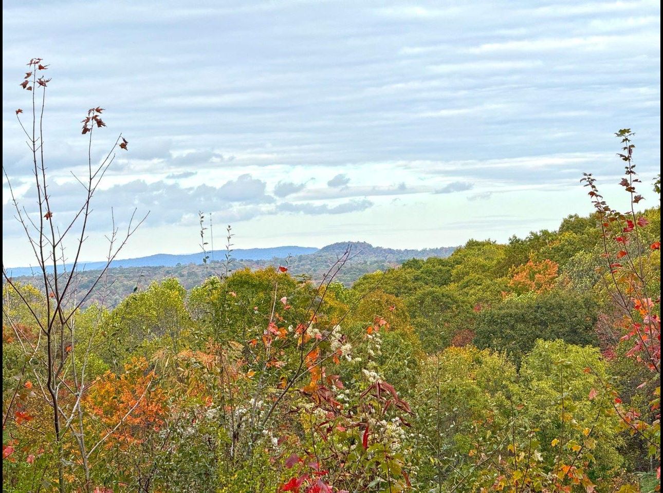 Tract 6 (View From) --IMG_8531