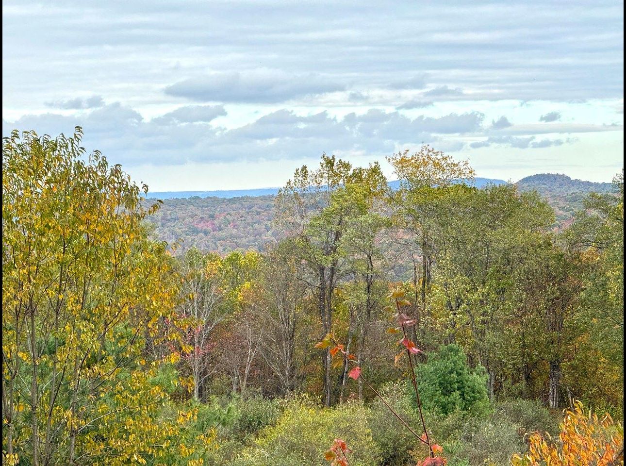 Tract 6 (View From) --IMG_8534