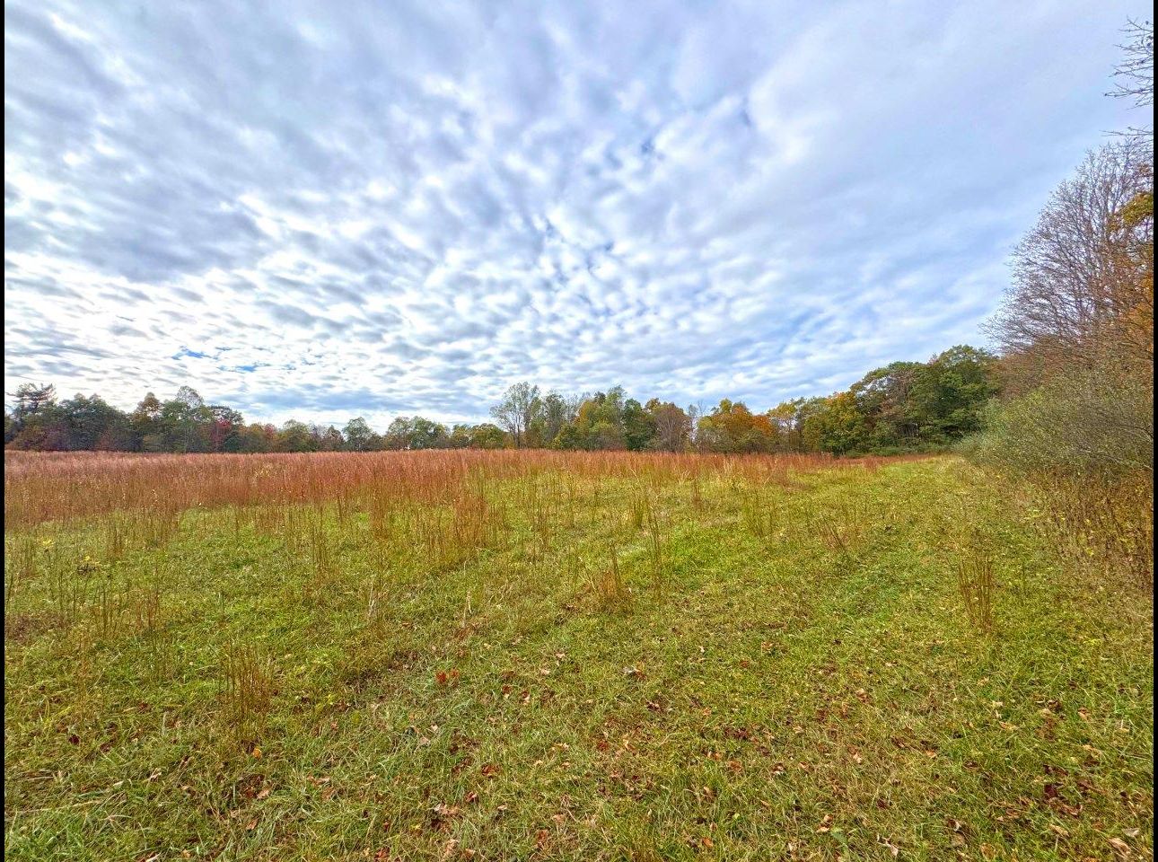 Tract 6 (View From) --IMG_8540