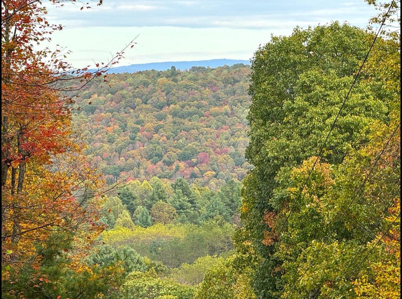 Tract 6 (View From) --IMG_8542