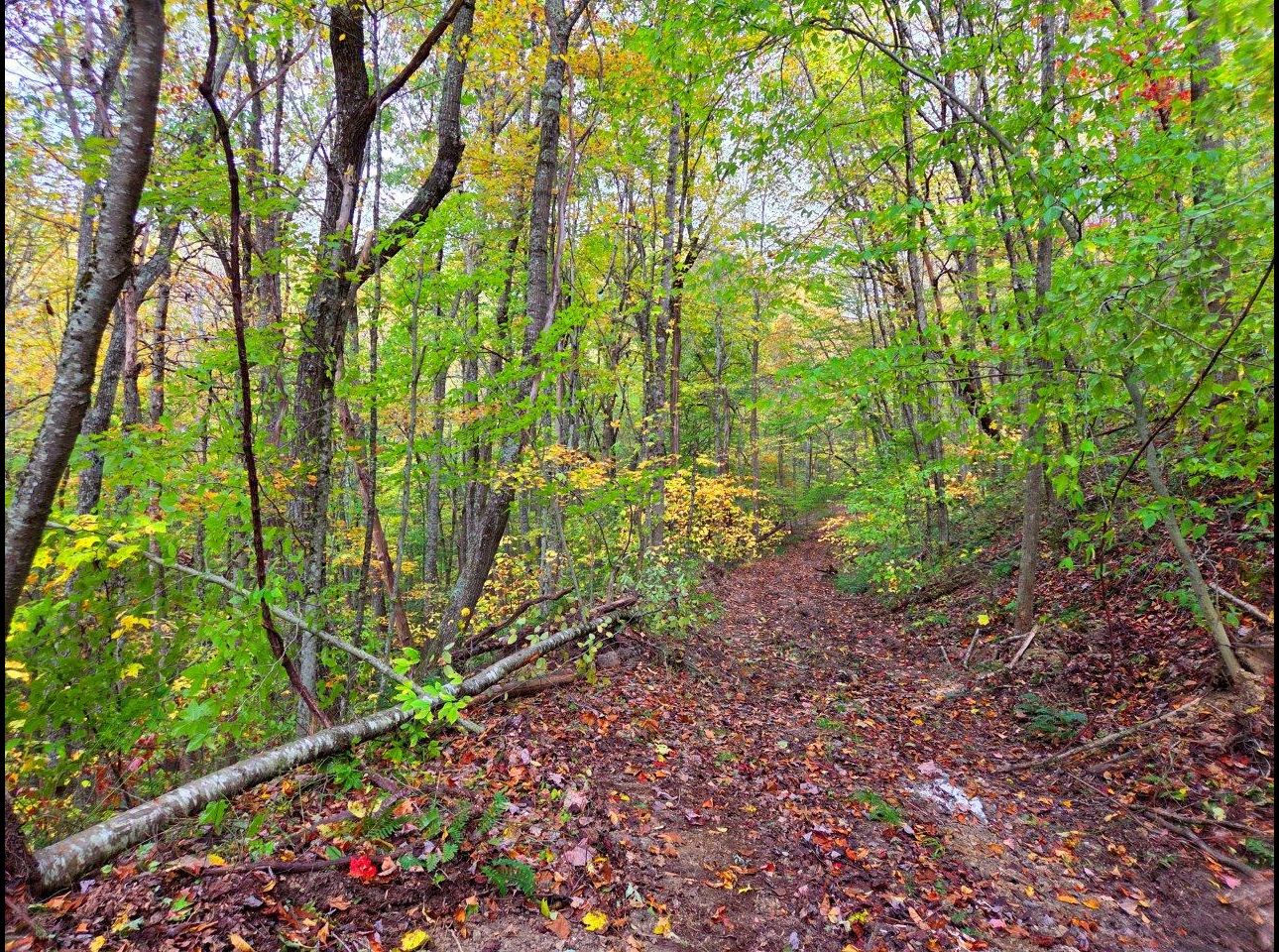 Tract 7 --20251015_164800