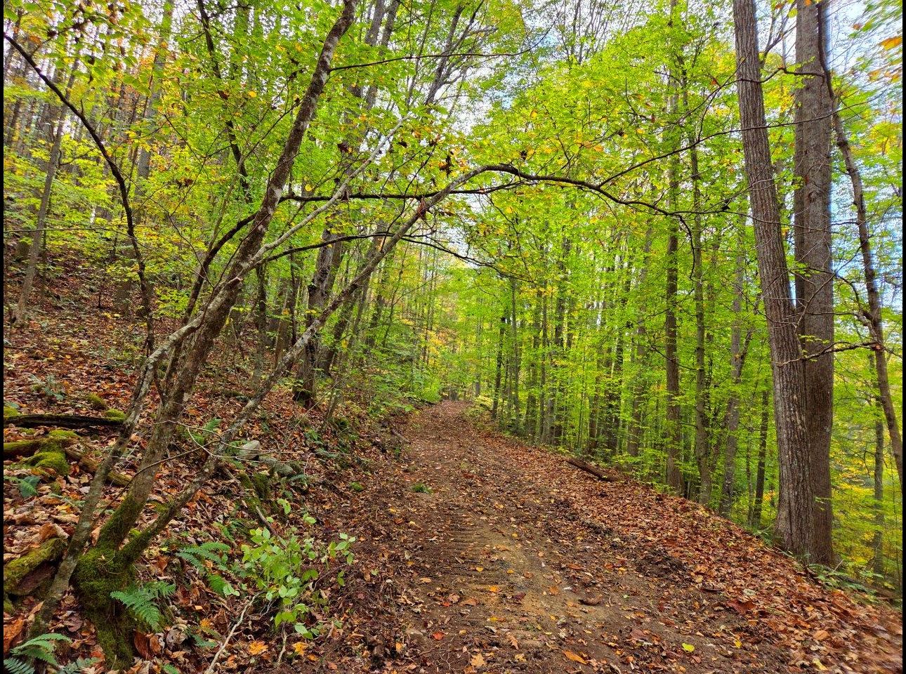 Tract 7 --20251015_164943